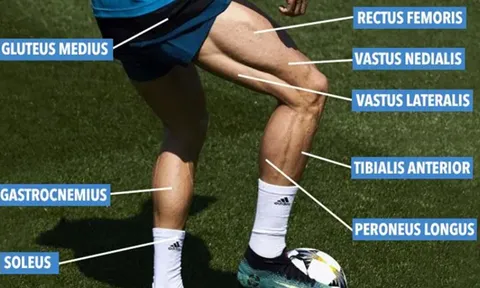 Conte ôm mộng nổ "cú đúp bom tấn" từ Chelsea