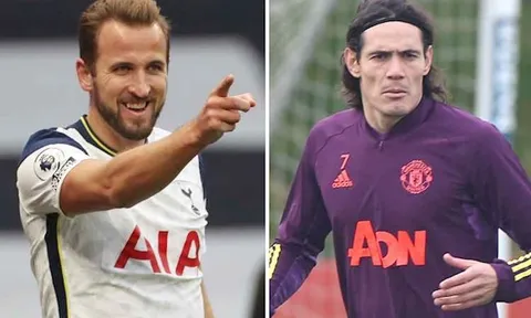 Berbatov phân vân giữa Edinson Cavani và Harry Kane