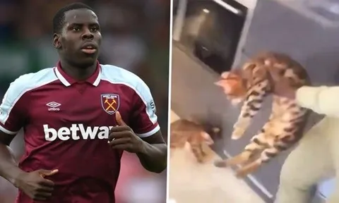Cảnh sát vào cuộc, điều tra cựu sao Chelsea tội bạo hành