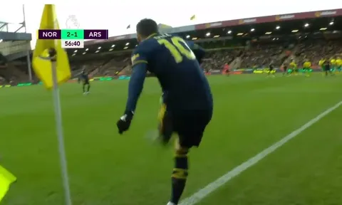 'Bạn có thể thấy Ozil đi thẳng về phía CĐV Norwich'