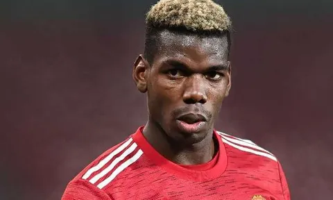 Chuyên gia khuyên Man Utd mua ngay 'tấm lá chắn' hoàn hảo cho Pogba