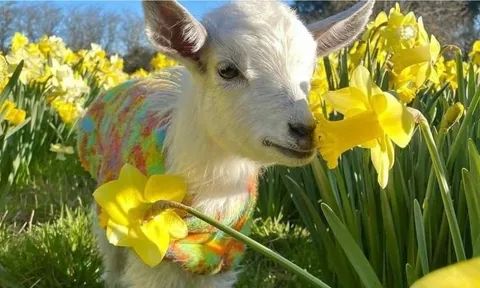 Đi sau về trước: 3 tuổi tưởng chậm mà chắc, bước vào trung niên tăng tốc mạnh, tài sản bật tăng rõ rệt