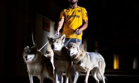 Diego Costa sợ chết khiếp với video ra mắt Wolves