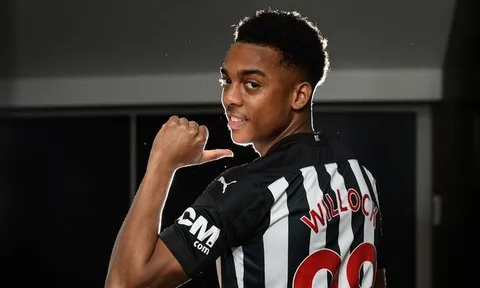 Ferdinand: "Tôi chẳng hiểu vì sao Arsenal lại bán Willock"