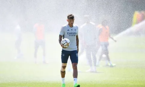 "Số tiền mà Arsenal đã trả cho cậu ấy là một sự lãng phí"