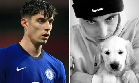 Dính COVID-19, bom tấn Chelsea đăng ảnh trấn an CĐV