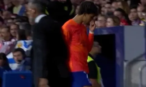 Joao Felix hành xử điên rồ khi không được tung vào sân
