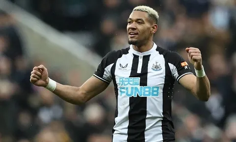 Liverpool được khuyên làm mới hàng tiền vệ với sao Newcastle