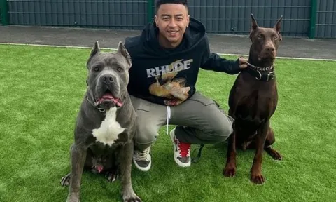 Lingard bị chỉ trích sau khi đăng ảnh động vật