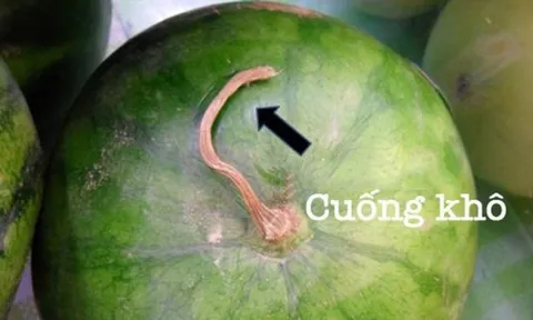 Mẹo chọn hoa quả ngày hè an toàn: 10 loại quả ngon ngọt, tươi sạch