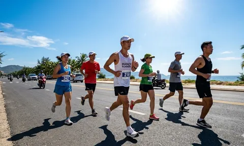 Nắng nóng cực đoan: Những thói quen quen thuộc có thể âm thầm làm tăng nguy cơ đột quỵ