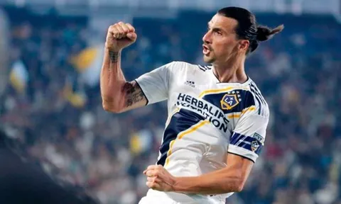 Sếp lớn giải đấu lên tiếng, Ibrahimovic tái xuất 'đế chế cũ' Châu Âu?