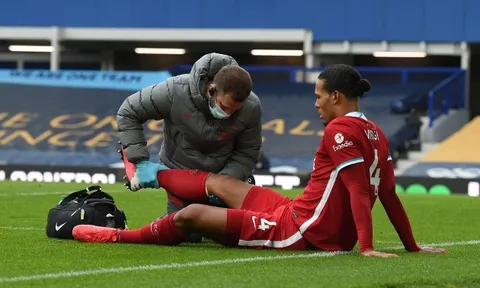 "Van Dijk là trung vệ xuất sắc nhất, hơn cả Ferdinand lẫn Terry"
