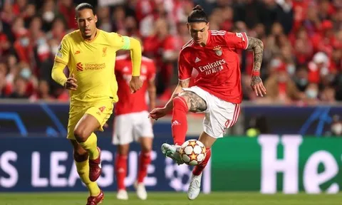 Van Dijk và đồng đội choáng váng với Darwin Nunez
