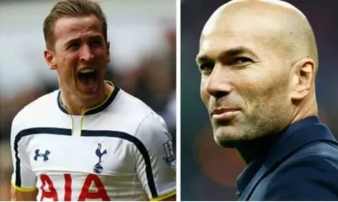 Ví Harry Kane giống Zidane, Gary Neville trở thành trò cười trên MXH