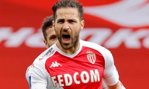 Vì 'quái vật tuyến giữa', Fabregas chấp nhận có lỗi với Chelsea