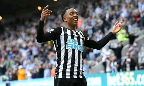 Arsenal muốn đổi Joe Willock lấy số 10 xuất sắc