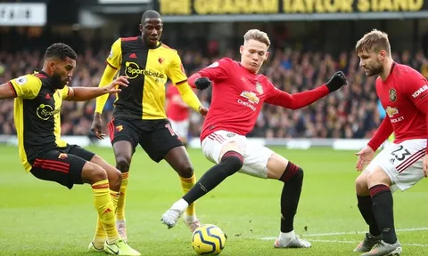 Man Utd có thể sẽ tìm được người thay thế Pogba ngay trong tuần này