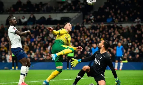 Thua cay đắng, fan Tottenham nổi khùng: "Hổ thẹn! Giải nghệ đi tên vô dụng"