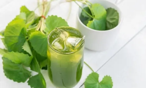 6 nhóm người nên uống nước rau má