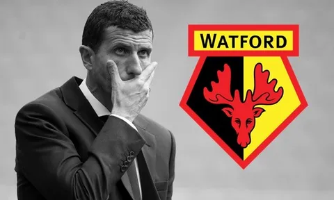 Á quân FA Cup, kỷ lục Premier League, giao kèo dài hạn... SA THẢI. Tại sao?