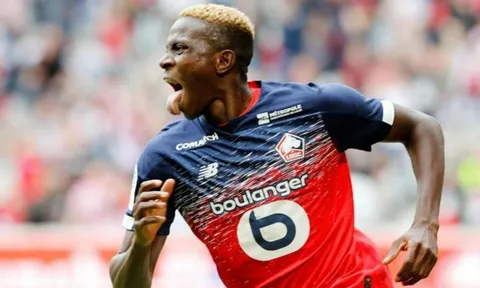 Fan hâm mộ: "Ai cần Nicolas Pepe khi chúng tôi đã có cậu ta?"