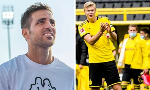 Fabregas chỉ ra nhược điểm khi Bundesliga tái xuất