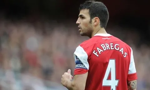 Tập buổi đầu cùng Arsenal, Fabregas đã khiến một đàn anh 'phiền lòng'