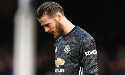 "Nếu bàn thắng vào lưới De Gea được công nhận, tôi có lẽ đã bị đuổi khỏi sân"