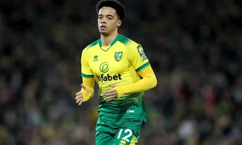 "Đó là lí do Liverpool không chiêu mộ Jamal Lewis"