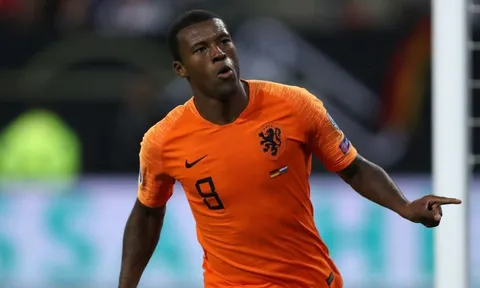 CĐV Liverpool: 'Wijnaldum ở Hà Lan giống những gì fan M.U nghĩ về Pogba'