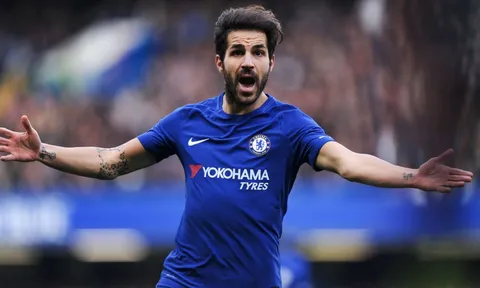 Fabregas không chọn ai của Chelsea vào 'dream team'
