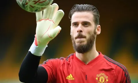 Mark Schwarzer: "Tôi nghĩ anh ấy đã sẵn sàng thay thế De Gea tại MU"