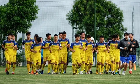 Tiết lộ lý do U23 Việt Nam chưa tập trên sân cỏ nhân tạo