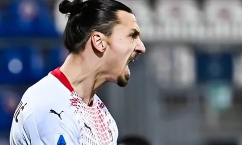 Ibrahimovic: "Tôi xin lỗi"