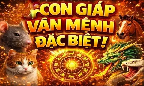 5 ngày đầu tháng 5/2026: 3 con giáp khai thông vận mệnh, tựa như 'cỗ máy in tiền'