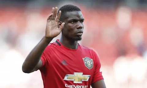 Berbatov: 'Tôi tận mắt chứng kiến Pogba thể hiện điều đó'