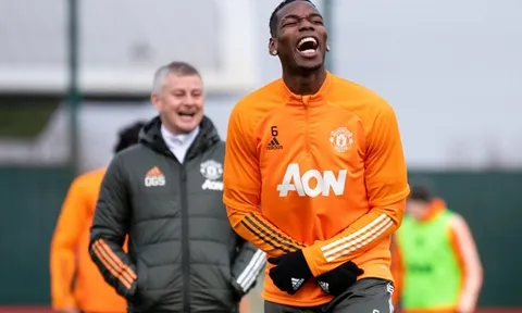 Pogba còn hơn cả 1 tân binh với Man Utd