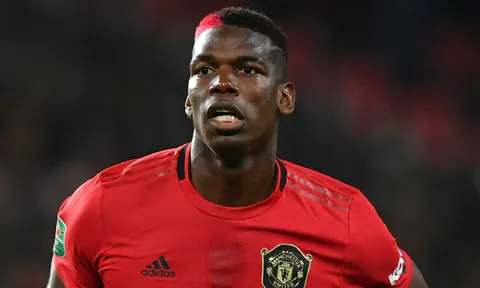 Rio Ferdinand: "Chơi ở vị trí đó, Pogba sẽ trở thành ngôi sao 90 triệu bảng"