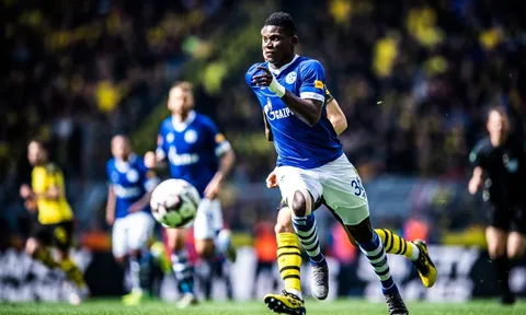 Schalke sẽ trở lại với cuộc trẻ hóa đội hình
