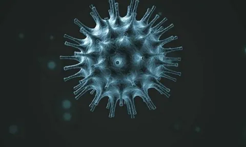 SỐC! Phát hiện chủng virus mới đáng sợ hơn COVID-19, thế giới nguy cơ 'toang' toàn tập