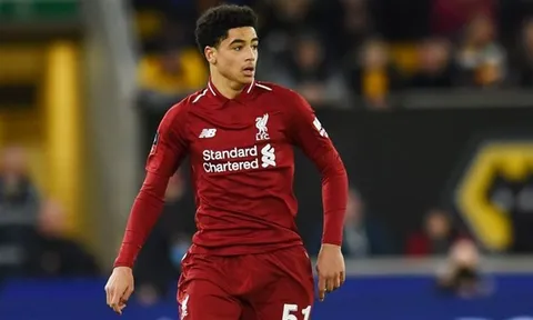 CĐV Liverpool: "Cậu ta như Van Dijk, hay hơn cả Vidic"