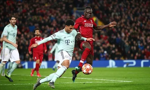 Fan Liverpool sung sướng: "Cậu ấy đúng là một con chó Bull"