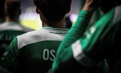 Những ngôi sao châu Á ở Bundesliga - phần 1