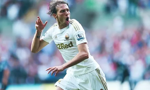 Từ Michu đến Robinho: 5 ngôi sao 'một mùa' của Premier League khiến CĐV nhớ mãi