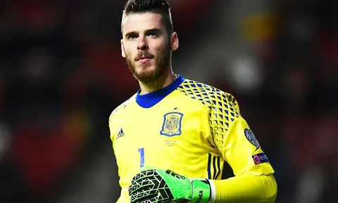 Thuyền trưởng Tây Ban Nha ca ngợi bản lĩnh của De Gea