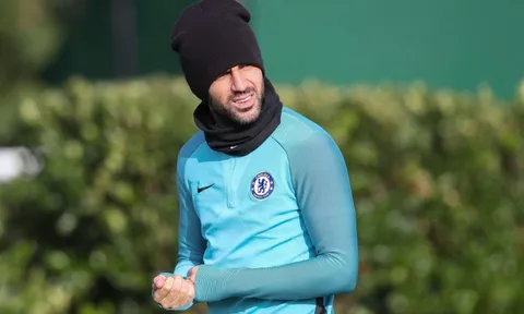 Bị Man Utd tiếp cận, Chelsea vội trói chân Fabregas
