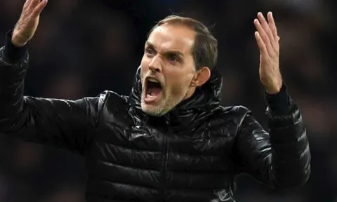 Chủ tịch PSG cao hứng: Tuchel là HLV xuất sắc nhất hành tinh