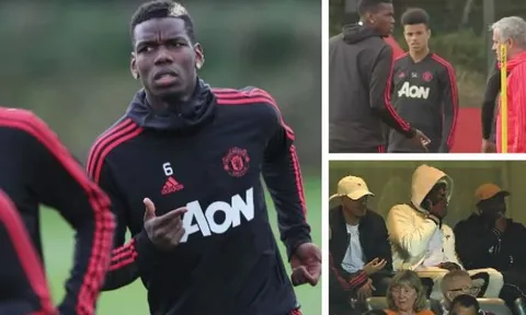 Sốc! Từ 7 tuần trước, Pogba đã gặp Ed Woodward để đòi ra đi