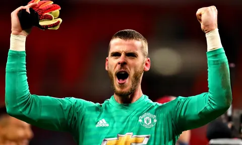 Pochettino chỉ biết thừa nhận 1 điều về De Gea